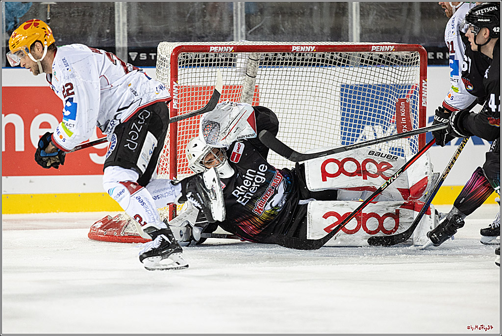 PENNY DEL;  Kölner Haie - Fischtown Pinguins; Köln, 22.12.2022